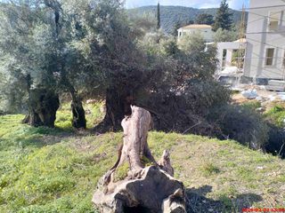 Οικόπεδο 1.295 τ.μ. για πώληση, Ν. Λευκάδας, Λευκάδα-thumb-10