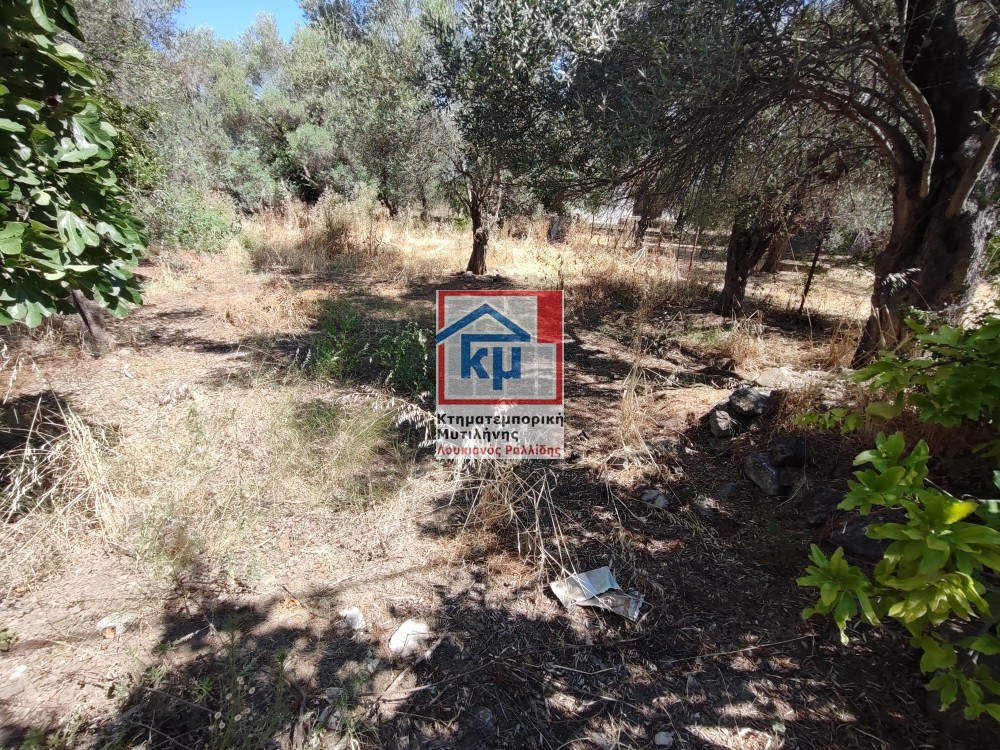 Οικόπεδο 645 τ.μ. για πώληση, Ν. Λέσβου, Λέσβος - Μυτιλήνη