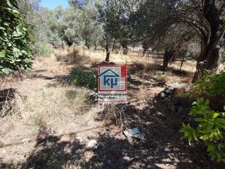 Οικόπεδο 645 τ.μ. για πώληση