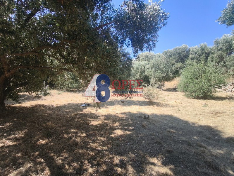 Οικόπεδο 1.200 τ.μ. προς πώληση, Πόλη Χίου