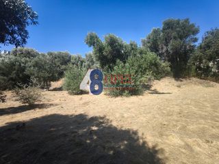 Οικόπεδο 1.200 τ.μ. για πώληση