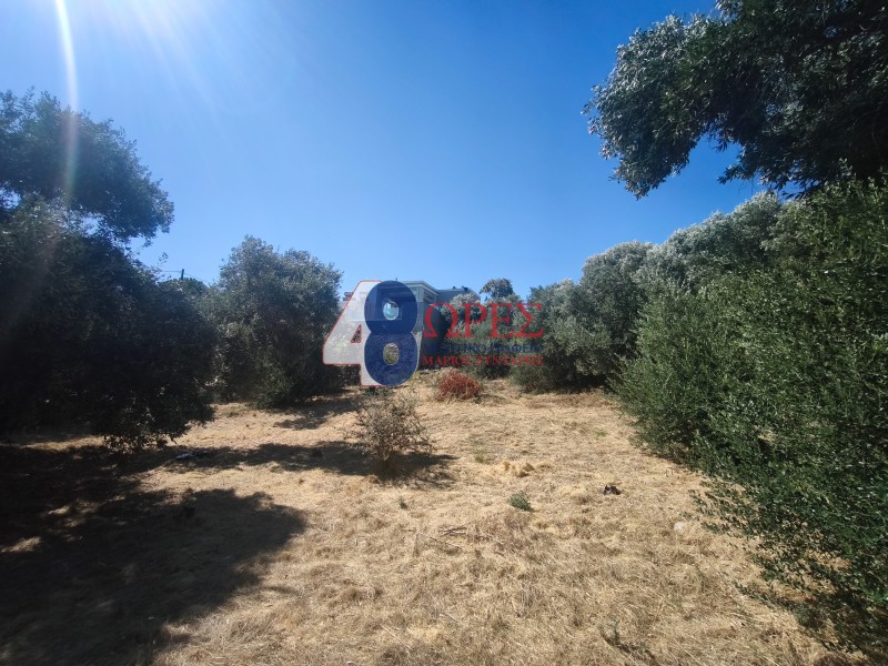 Οικόπεδο 1.200 τ.μ. προς πώληση, Πόλη Χίου