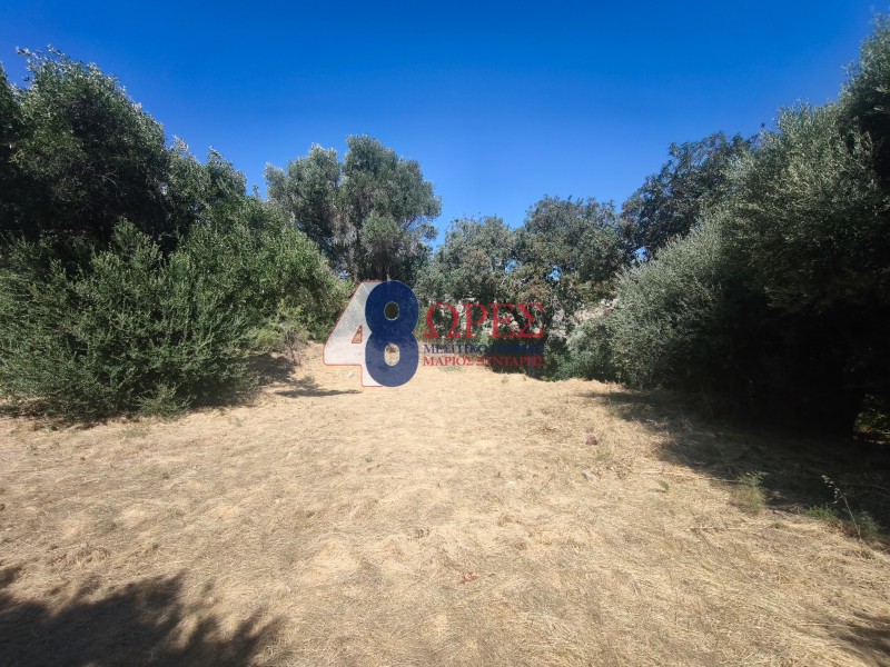 Οικόπεδο 1.200 τ.μ. προς πώληση, Πόλη Χίου