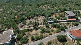 Οικόπεδο 903 τ.μ. για πώληση, Μεσσηνία, Λεύκτρος-thumb-24