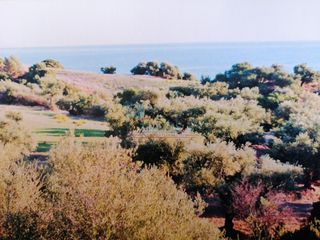 Οικόπεδο 5.000 τ.μ. για πώληση