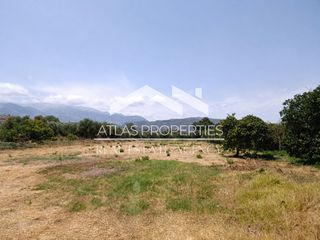 Οικόπεδο 1.830 τ.μ. για πώληση
