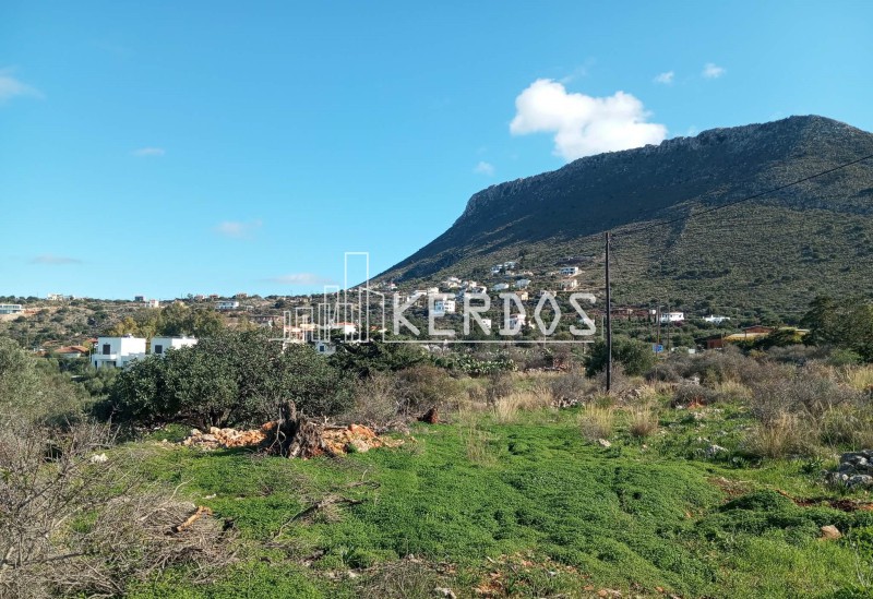 Οικόπεδο 2.550 τ.μ. προς πώληση, Κόκκινο Χωριό