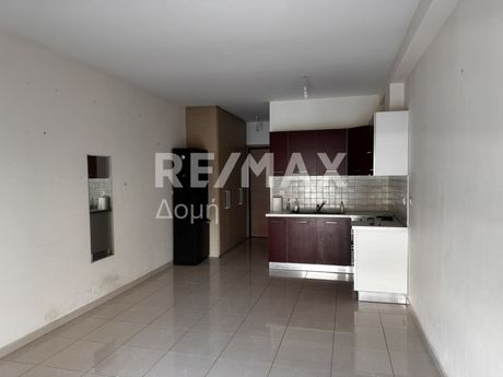 Studio 34 sqm for rent