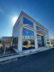 Επιχειρηματικό κτίριο 520 τ.μ. για ενοικίαση