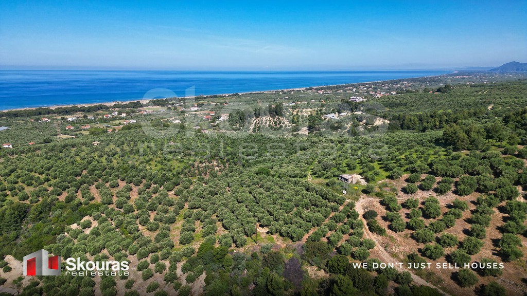Αγροτεμάχια 3.077 τ.μ. προς πώληση, Ζαχάρω