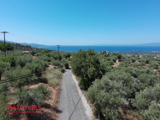 Οικόπεδο 5.538 τ.μ. για πώληση, Μεσσηνία, Καλαμάτα-thumb-13