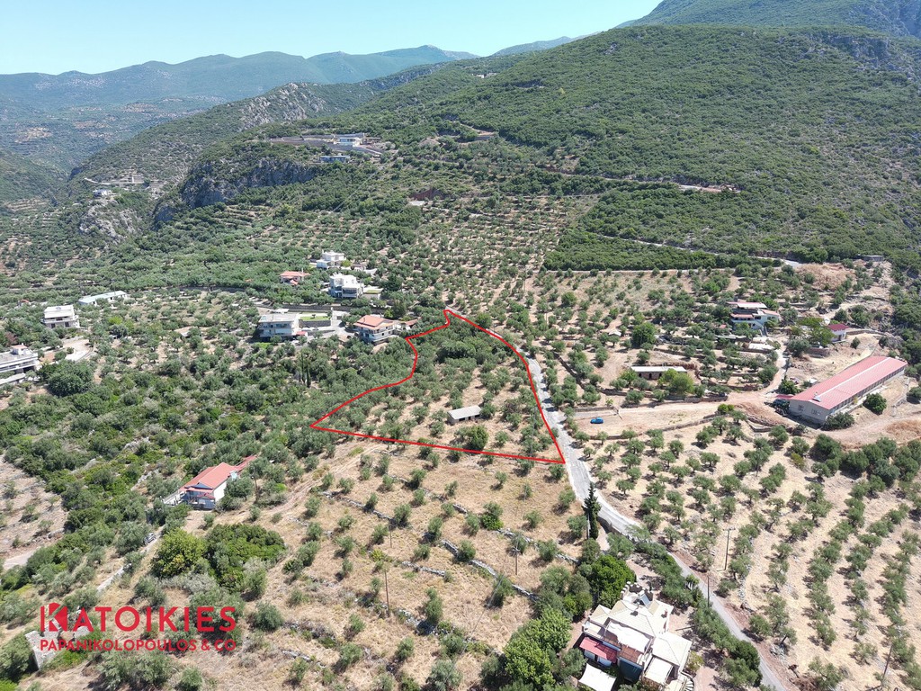Οικόπεδο 5.538 τ.μ. πρός πώληση, Μεσσηνία, Καλαμάτα