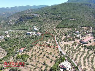 Οικόπεδο 5.538 τ.μ. για πώληση, Μεσσηνία, Καλαμάτα-thumb-3