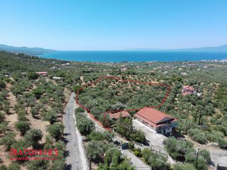 Οικόπεδο 5.538 τ.μ. για πώληση, Μεσσηνία, Καλαμάτα-thumb-1