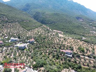 Οικόπεδο 5.538 τ.μ. για πώληση, Μεσσηνία, Καλαμάτα-thumb-12