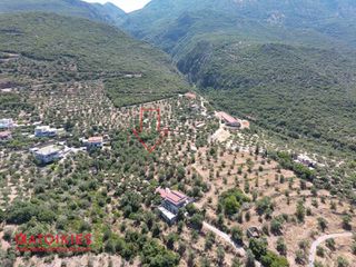 Οικόπεδο 5.538 τ.μ. για πώληση, Μεσσηνία, Καλαμάτα-thumb-9