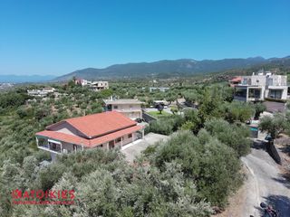 Οικόπεδο 5.538 τ.μ. προς πώληση, Καλαμάτα-thumb-14