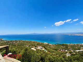 Βίλλα 456 τ.μ. πρός πώληση, Μεσσηνία, Καλαμάτα-thumb-16