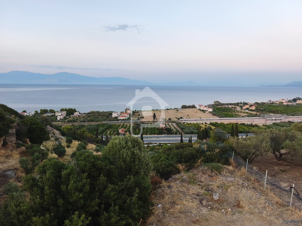 Οικόπεδο 800 τ.μ. για πώληση, Κορινθία, Σικυώνα
