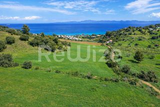 Αγροτεμάχια 5.237 τ.μ. για πώληση