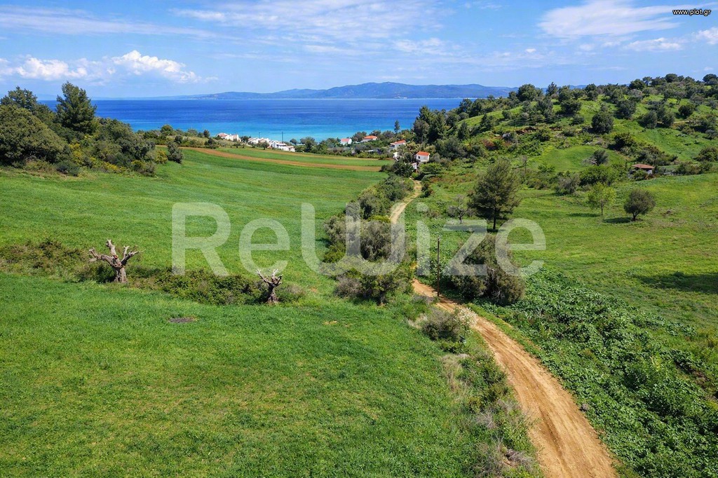 Αγροτεμάχια 5.237 τ.μ. προς πώληση, Παλιούρι Παλλήνης