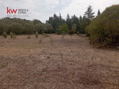 Αγροτεμάχια 3.050 τ.μ. προς πώληση