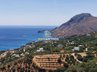 Οικόπεδο 100.000 τ.μ. για πώληση
