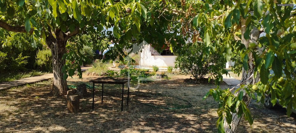 Μεζονέτα 90 τ.μ. προς πώληση, Πολύδροσος