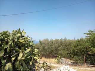 Οικόπεδο 895,61 τ.μ. για πώληση, Ν. Κέρκυρας, Κέρκυρα-thumb-5