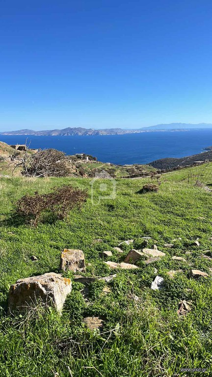 Αγροτεμάχια 4.000 τ.μ. προς πώληση, Μερσίνη