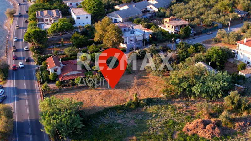 Οικόπεδο 992,39 τ.μ. πρός πώληση, Μαγνησία, Αγριά