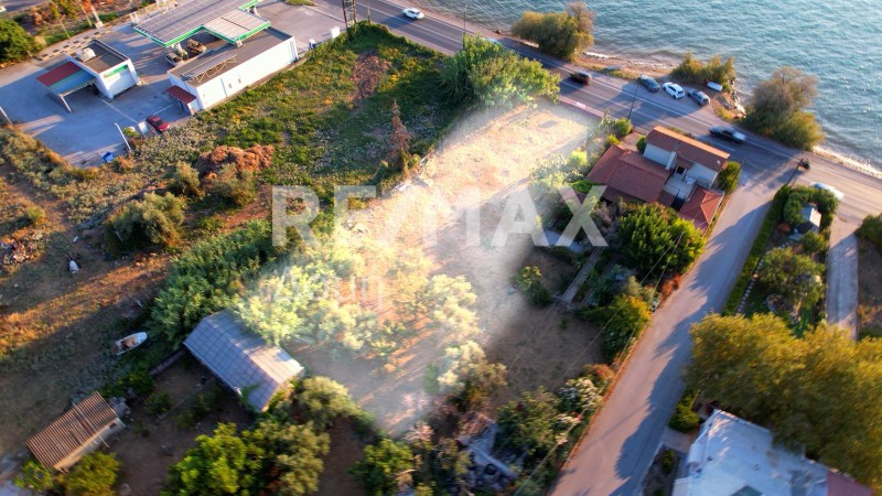 Οικόπεδο 992,39 τ.μ. πρός πώληση, Μαγνησία, Αγριά
