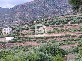 Οικόπεδο 4.382 τ.μ. προς πώληση, Μόχλος-thumb-9
