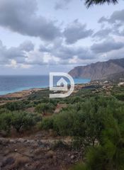 Οικόπεδο 4.382 τ.μ. προς πώληση, Μόχλος-thumb-10