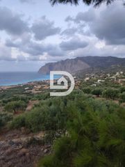 Οικόπεδο 4.382 τ.μ. προς πώληση, Μόχλος-thumb-11