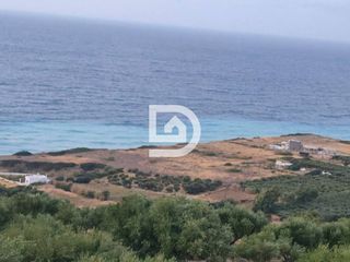 Οικόπεδο 4.382 τ.μ. προς πώληση, Μόχλος-thumb-7