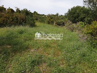 Οικόπεδο 6.000 τ.μ. για πώληση