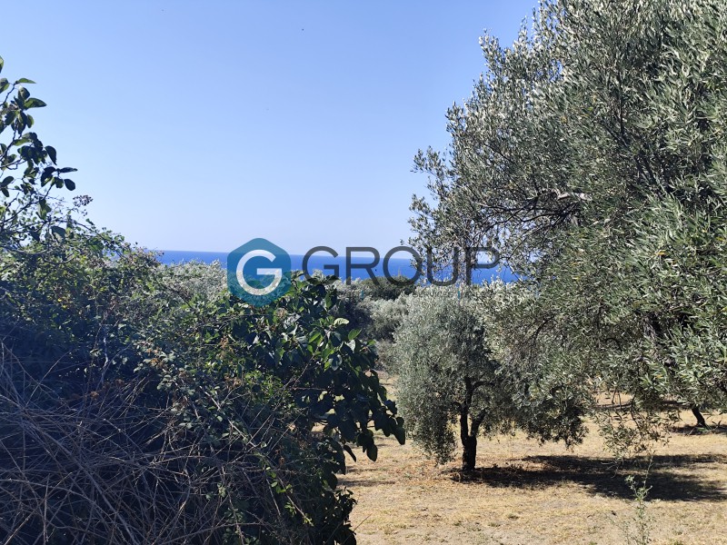 Αγροτεμάχια 2.800 τ.μ. προς πώληση, Μάκρη Αλεξανδρούπολης