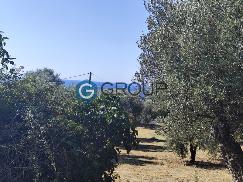 Αγροτεμάχια 2.800 τ.μ. προς πώληση, Μάκρη Αλεξανδρούπολης