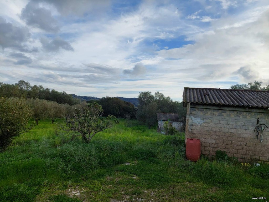 Οικόπεδο 10.000 τ.μ. προς ενοικίαση, Ν. Κέρκυρας, Κέρκυρα