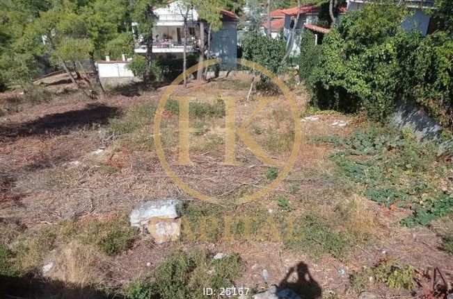 Οικόπεδο 602 τ.μ. για πώληση, Αθήνα - Βόρεια Προάστια, Δροσιά