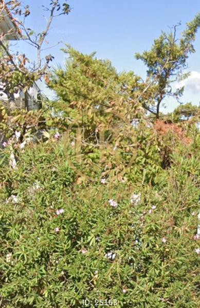 Οικόπεδο 525 τ.μ. προς πώληση, Μορτερό
