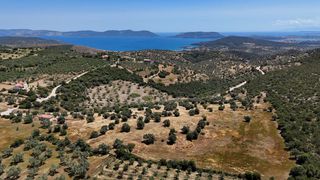 Αγροτεμάχια 29.674 τ.μ. για πώληση
