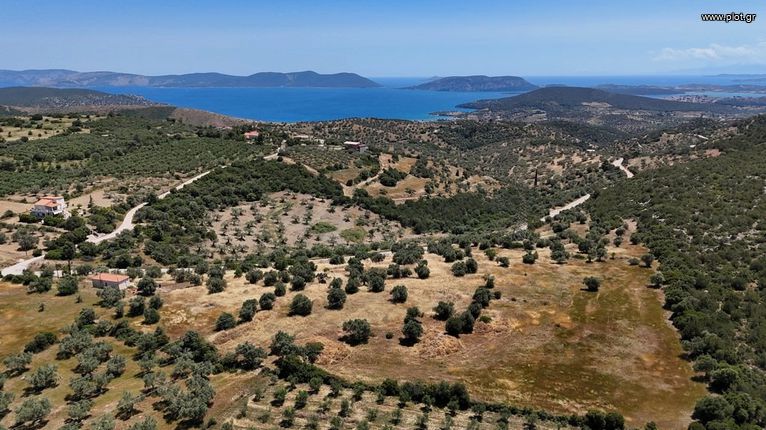 Αγροτεμάχια 29.674 τ.μ. για πώληση, Αργολίδα, Ερμιόνη
