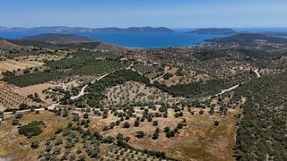 Αγροτεμάχια 29.674 τ.μ. για πώληση, Αργολίδα, Ερμιόνη-thumb-1