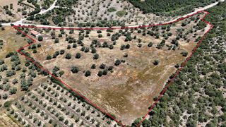 Αγροτεμάχια 29.674 τ.μ. για πώληση, Αργολίδα, Ερμιόνη-thumb-2