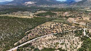 Αγροτεμάχια 29.674 τ.μ. για πώληση, Αργολίδα, Ερμιόνη-thumb-3