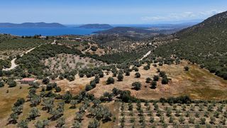 Αγροτεμάχια 29.674 τ.μ. για πώληση, Αργολίδα, Ερμιόνη-thumb-4