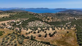 Αγροτεμάχια 29.674 τ.μ. για πώληση, Αργολίδα, Ερμιόνη-thumb-5