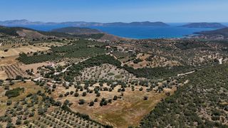 Αγροτεμάχια 29.674 τ.μ. για πώληση, Αργολίδα, Ερμιόνη-thumb-6